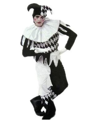 Jester Clown Costume Set (4 Options) One Size Fits Most