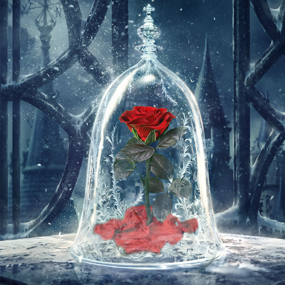Immortal Enchanted Bell Rose LED Glass Display (Preserved or Artificial)