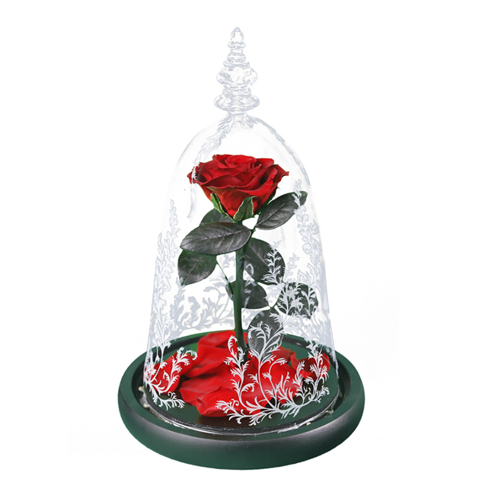 Immortal Enchanted Bell Rose LED Glass Display (Preserved or Artificial)