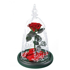 Immortal Enchanted Bell Rose LED Glass Display (Preserved or Artificial)