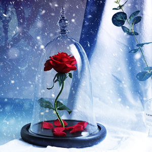 Immortal Enchanted Bell Rose LED Glass Display (Preserved or Artificial)