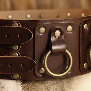 Medieval Knight Valor Belt (2 Colors)