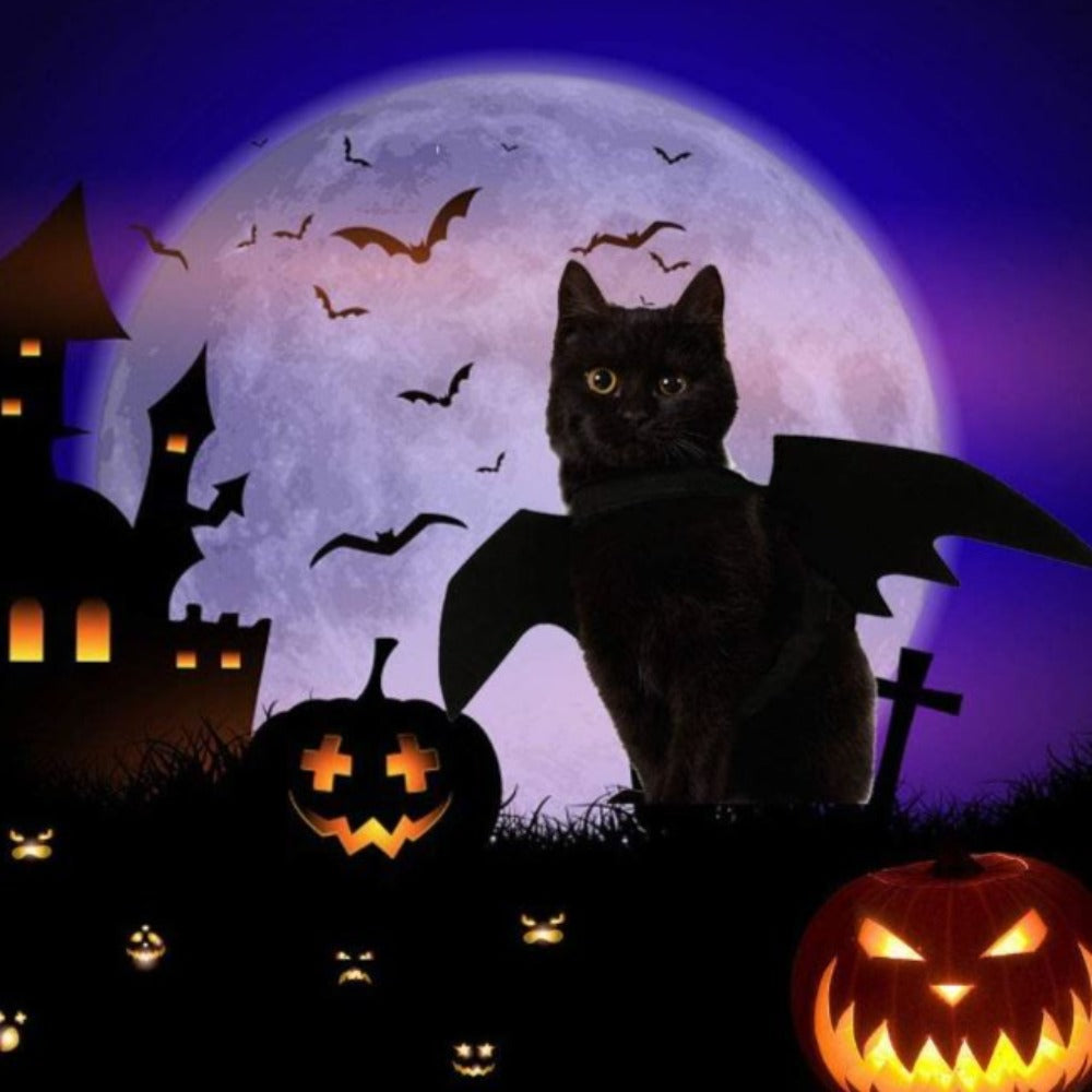 Pet Dog Cat Wings Costumes (Size 45CM-16CM)