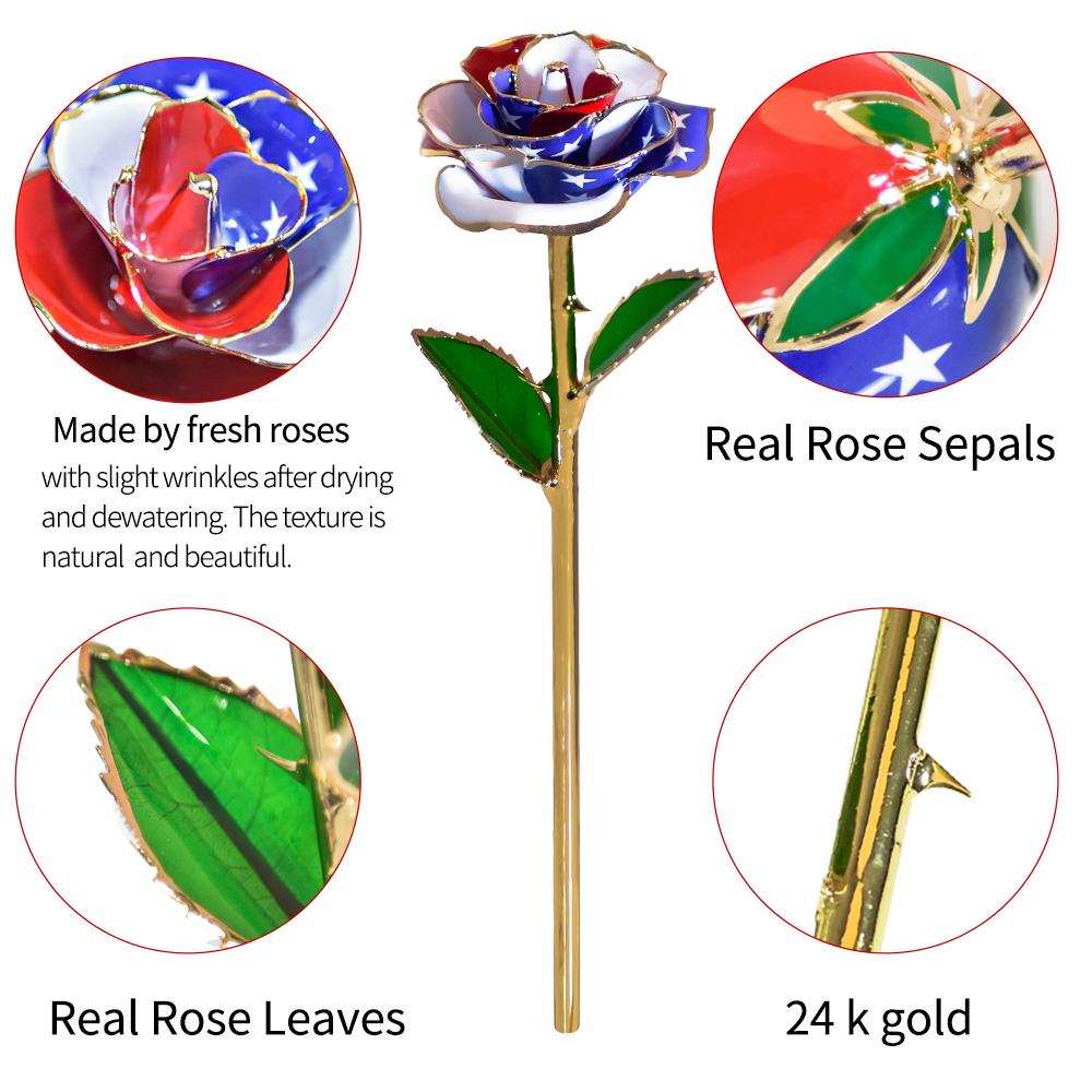 Preserved 24k Gold Long Stem Immortal Rose (16 Colors)