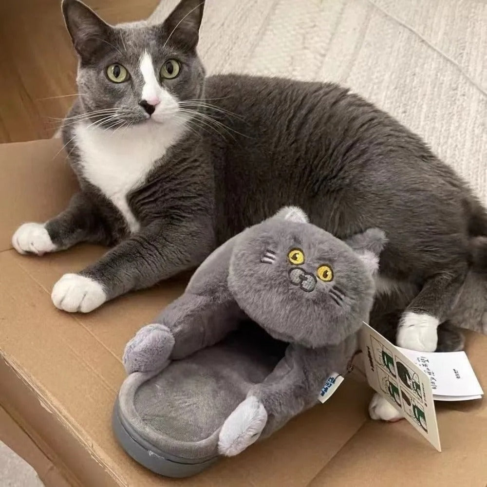 Fur Funny Cat Shoe Fuzzy Slippers (2 Styles) 8 Sizes