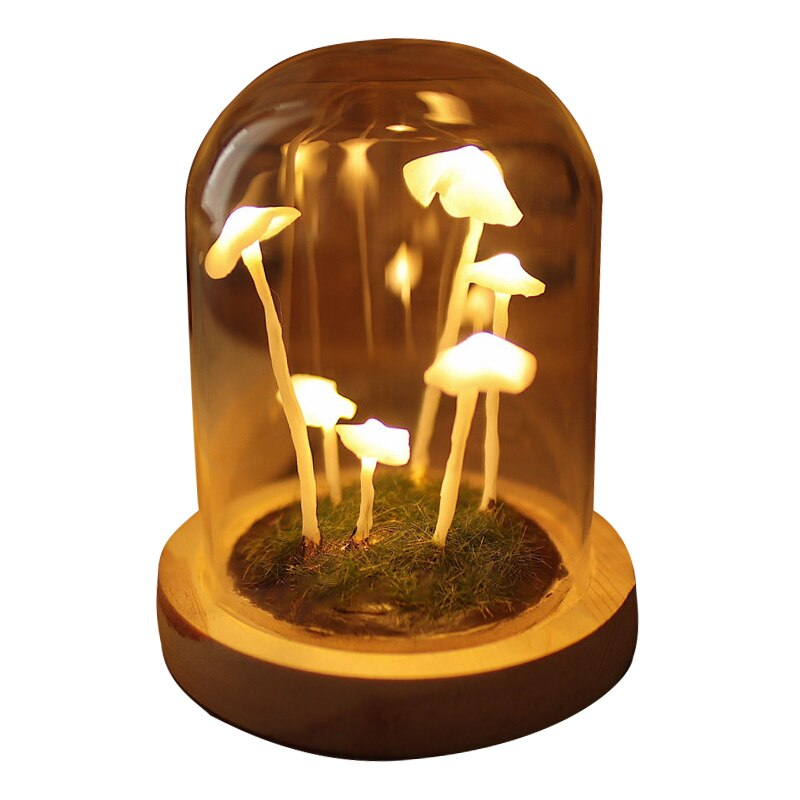 DIY Make Your Own Mushroom Lamp LED Glass Display