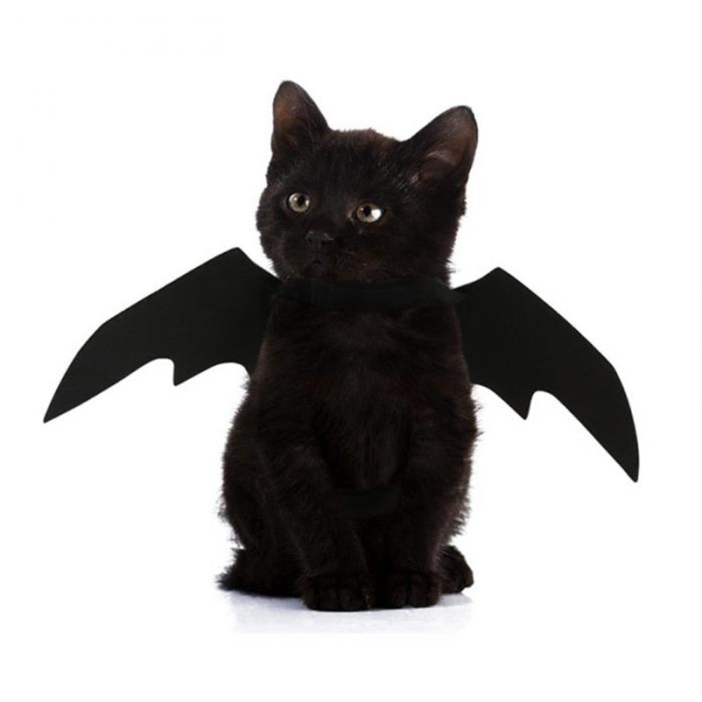Pet Dog Cat Wings Bat Costume (Size 45CMx16CM)