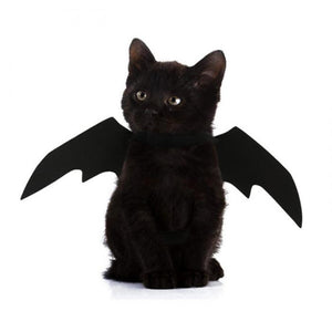 Pet Dog Cat Wings Bat Costume (Size 45CMx16CM)