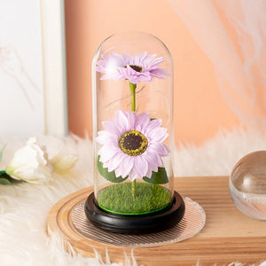 Sunflower lamps
