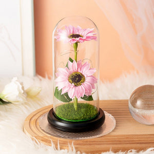 Sunflower lamps