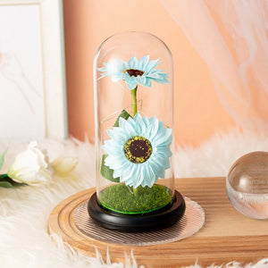 Sunflower lamps