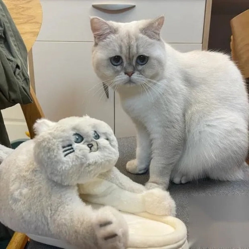 Fur Funny Cat Shoe Fuzzy Slippers (2 Styles) 8 Sizes