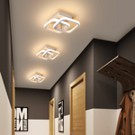 LED Ceiling Light Lamp (2 Colors)