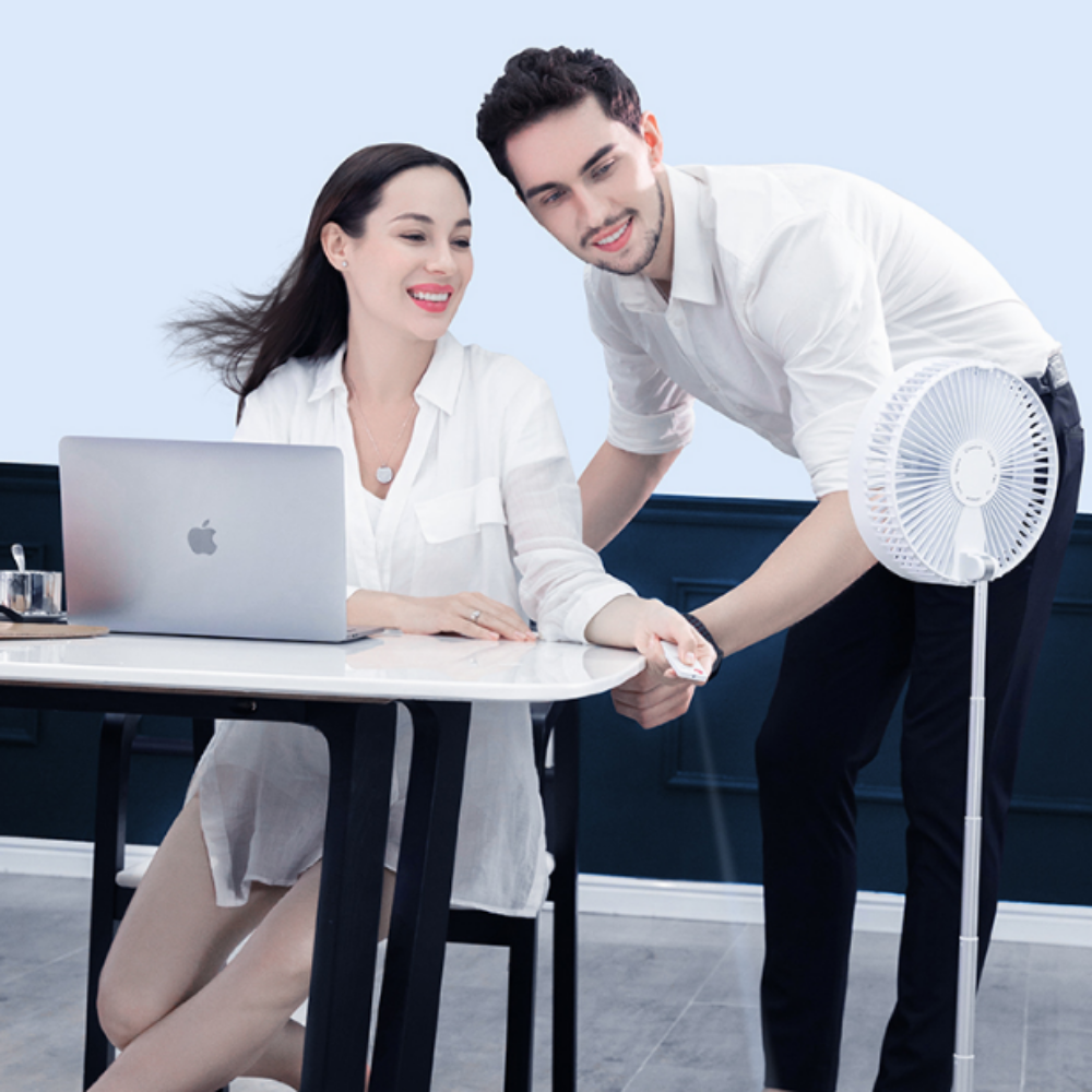 Portable Folding Fan (2 Options) with Remote Control