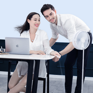 Portable Folding Fan (2 Options) with Remote Control
