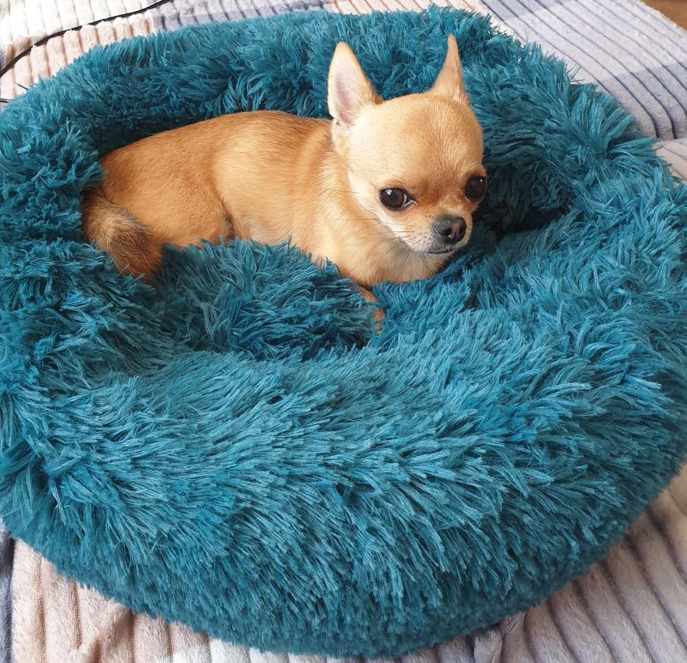 Dog Bed Plush Cat Mat Round Cushion (20 Colors) 8 Sizes