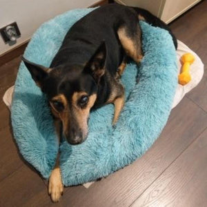 Dog Bed Plush Cat Mat Round Cushion (20 Colors) 8 Sizes