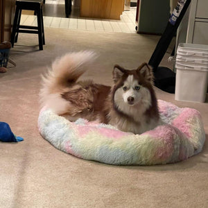 Dog Bed Plush Cat Mat Round Cushion (20 Colors) 8 Sizes
